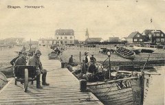 Skagen havn (11)